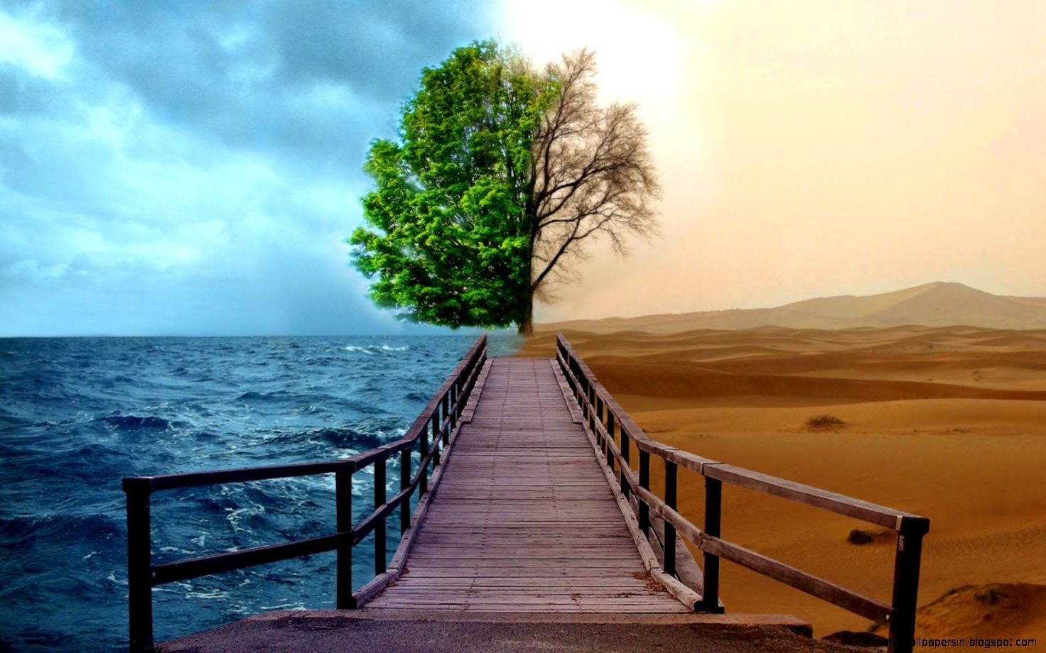 Most Creative Desktop Backgrounds Enjoy Most Cre   FrEasyGallery