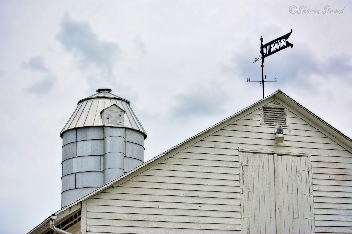 The Displaced Mountain Girl Pork, Peanut and Pine Festival At
