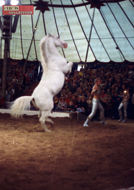 Rolf Knie junior et un cheval debout sur les pattes arrières 