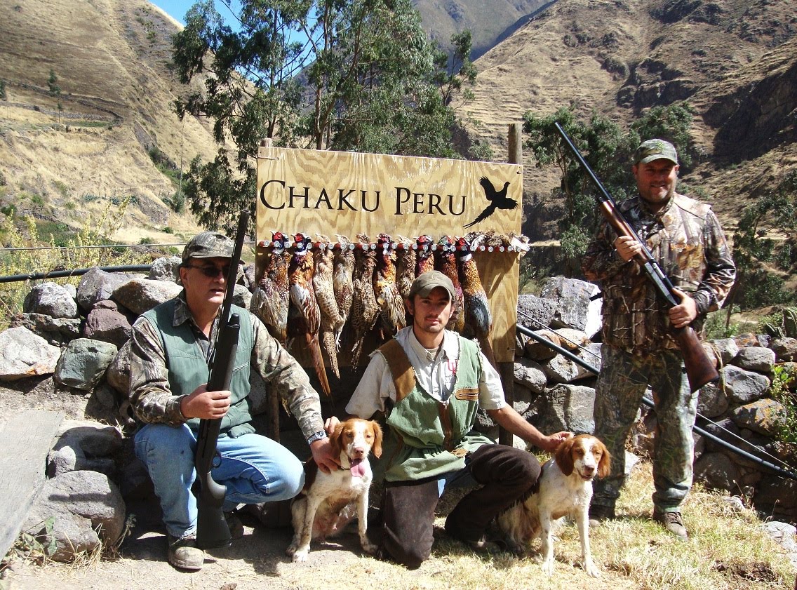 Faisanes Coto de caza en HuaralPeru Faisanes Coto de caza en HuaralPeru