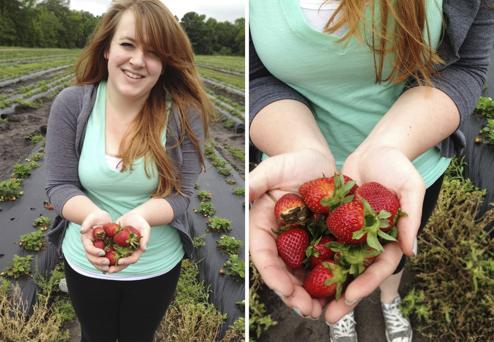 The Ink & Anchor Charleston Strawberry Picking