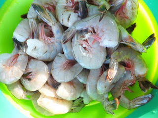 georgetown south carolina shrimp