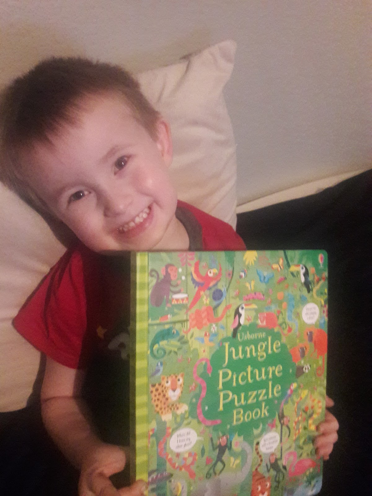 Training Children up for Christ Usborne Jungle Picture Puzzle Book