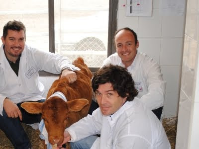 vaquita clonada en argentina que dará leche materna humana