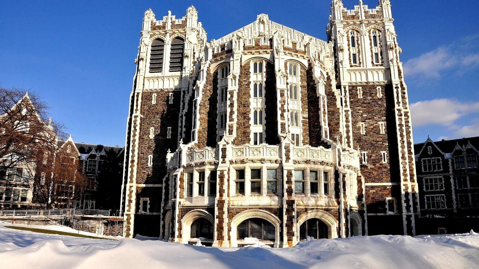 Why Apply To Macaulay Honors College Why Apply To Macaulay Honors College