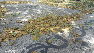 (Almost) Wordless Wednesday - falling leaves already?