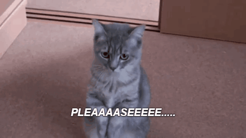 Image result for funny please gif