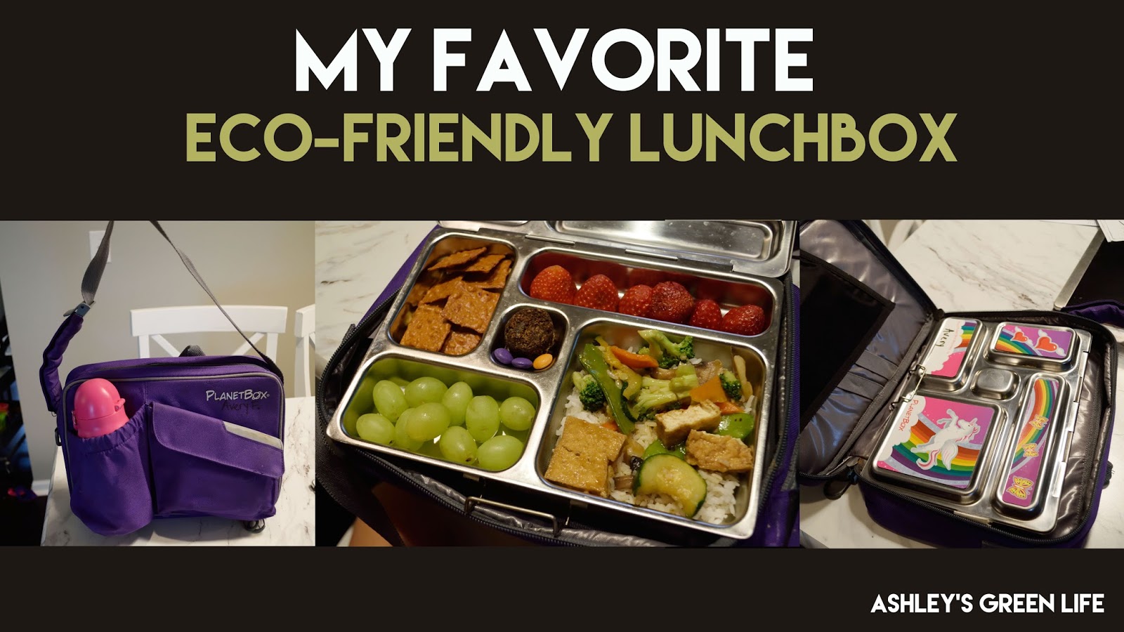 My Favorite EcoFriendly Lunchbox Green Blog