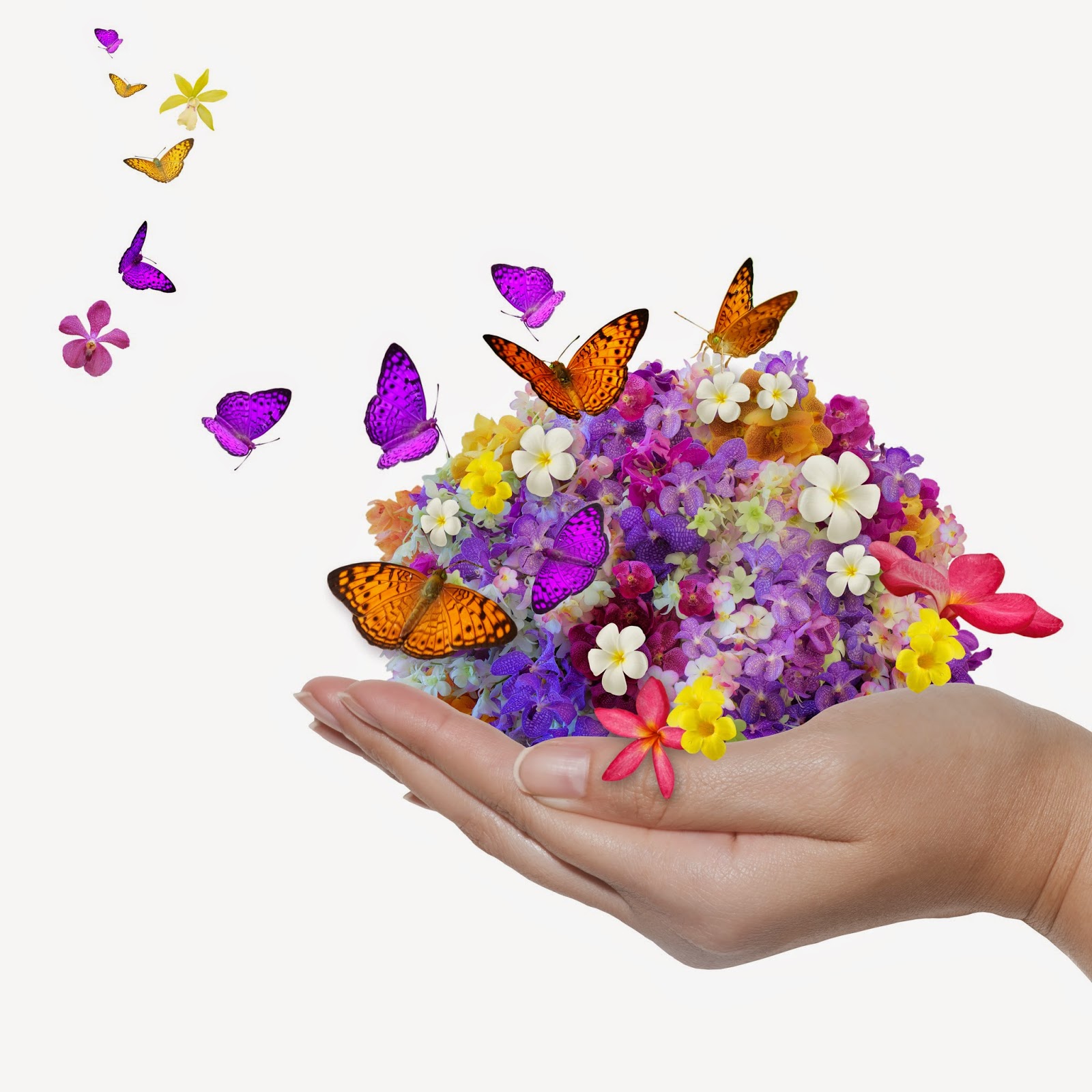 Букет цветов счастье. Цветы в ладошках. Букет и бабочка. Букет из бабочек. Дарит цветы.