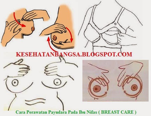 PERAWATAN IBU NIFAS PDF PERAWATAN IBU NIFAS PDF