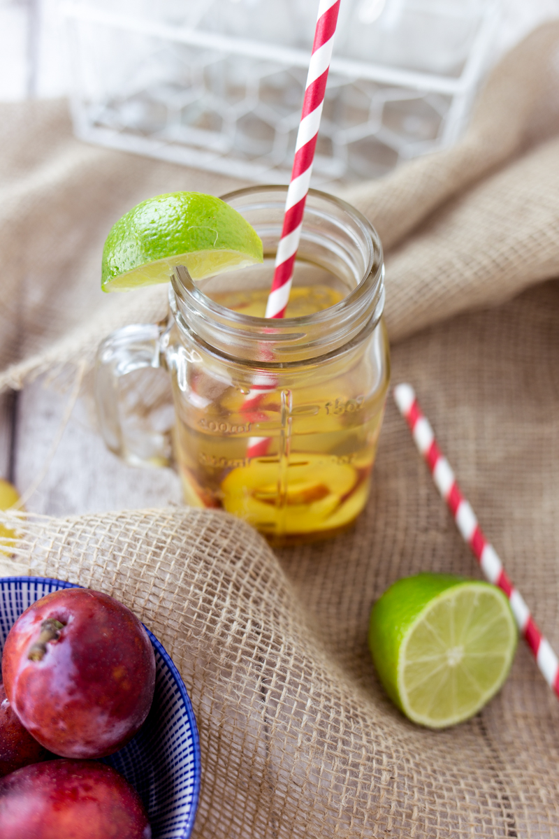 Plum Gin Fizz Recipe Heroine in Heels