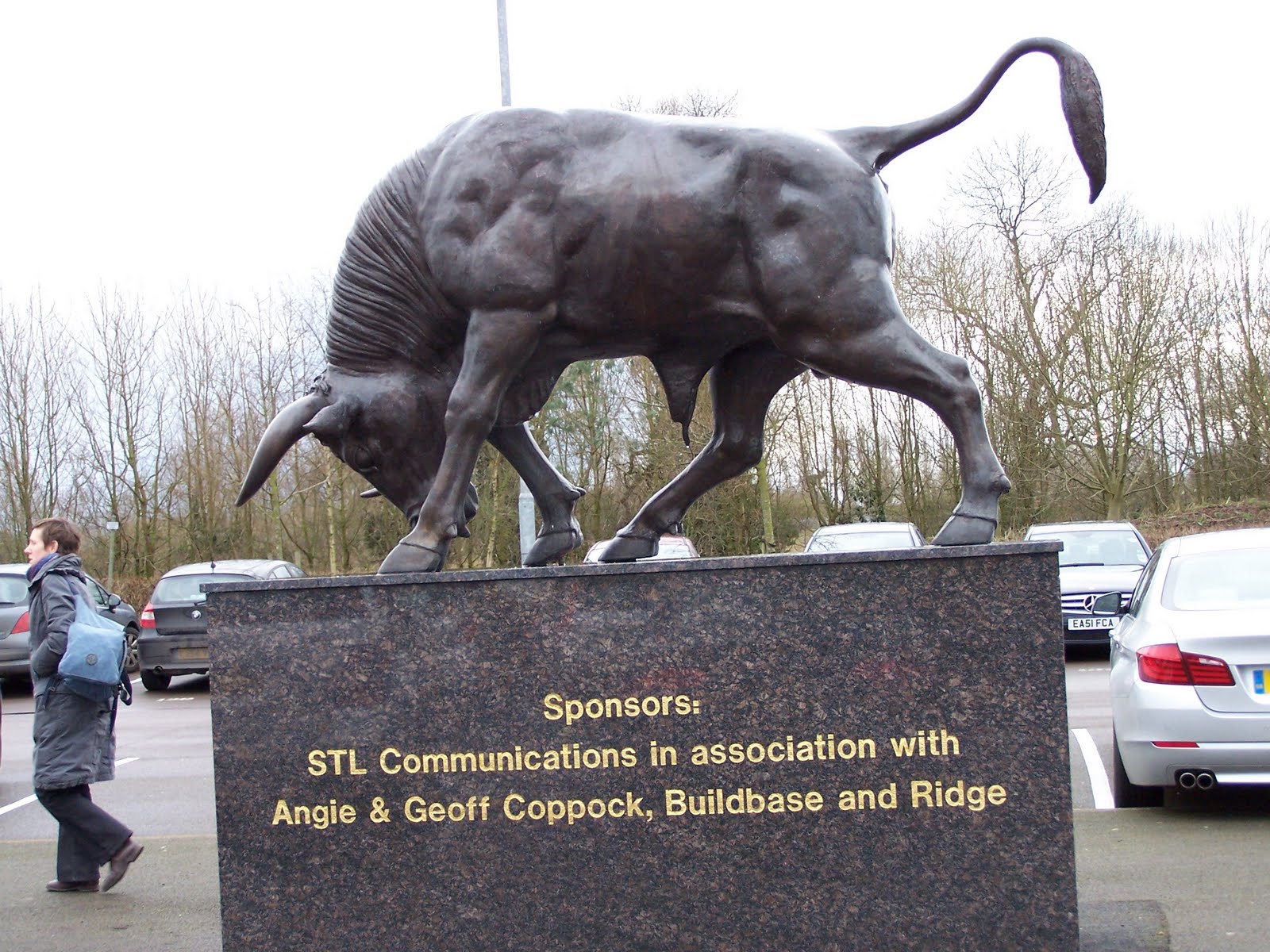 Bulls News: Stats from Outside Oxford