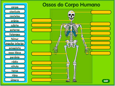 http://websmed.portoalegre.rs.gov.br/escolas/obino/cruzadas1/corpo/ossos.swf