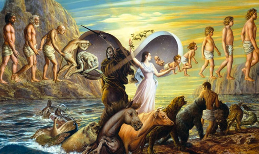 Creacionismo evolucionismo