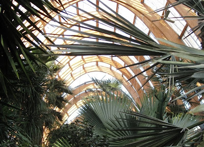 Ferns and palms below a vaulted roof
