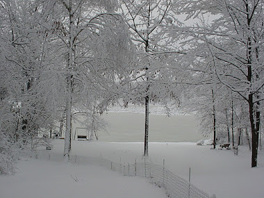 My Lake In Winter