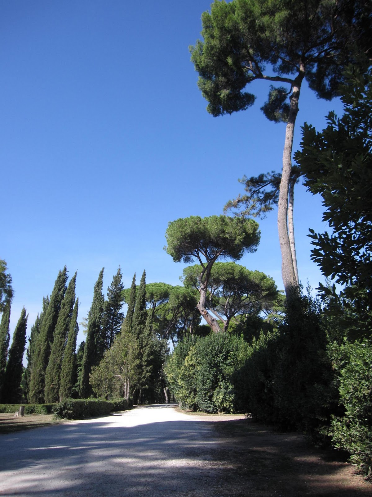 Pauline Faithways Arrivederci Roma 