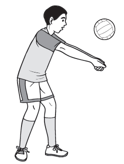 Teknik Dasar Permainan Bola Voli Lengkap Dengan Gambarnya | Info Penjas