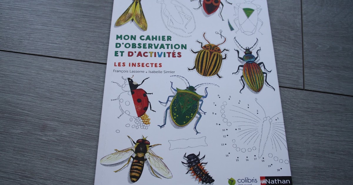 Mon cahier d'observation et d'activités : les insectes - MvWm - Ma vie ...