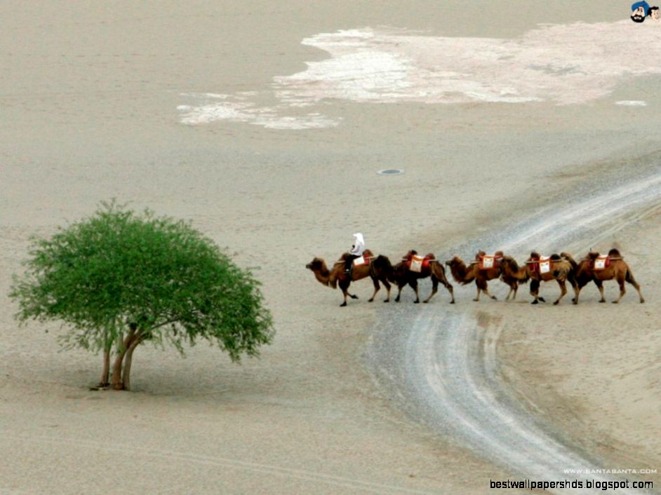 Santabanta Nature Wallpapers HD   Wallpaper Cave