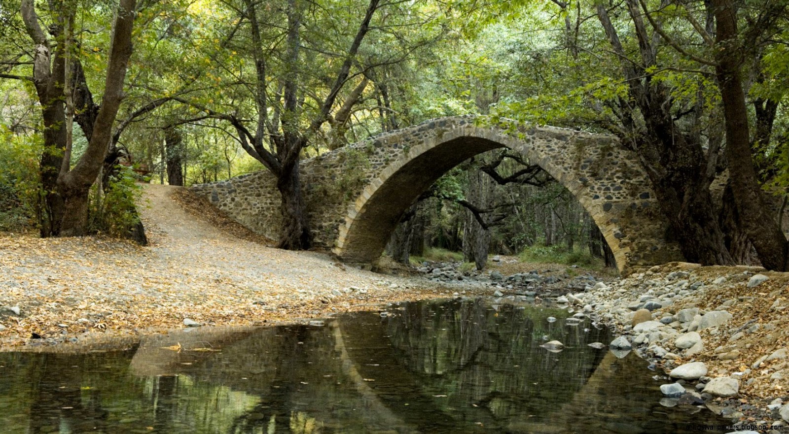 Beautiful Scenery with a Stone Bridge