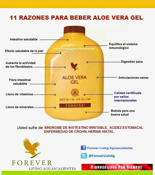 Forever Living Aguascalientes 11 RAZONES PARA BEBER ALOE VERA GEL