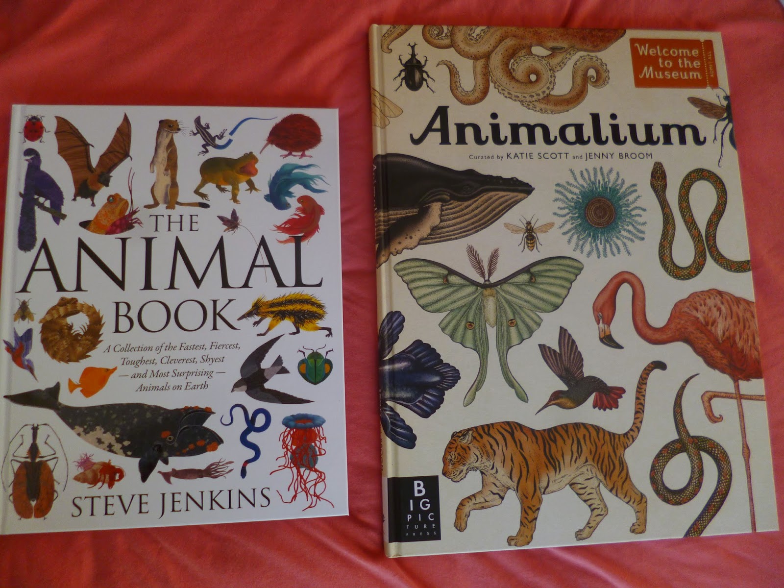 On the stripey couch on a Saturday morning: The Animal Book by Steve