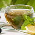 Benefits Of Herbal and Products Made From Tea Plants