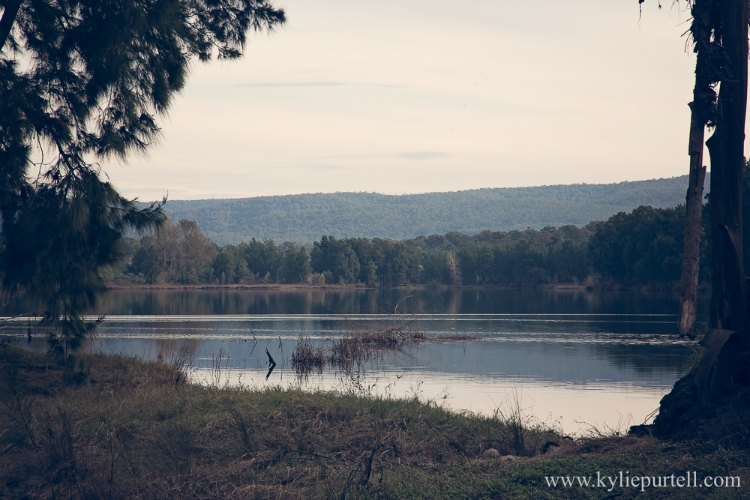 Yarramundi Reserve {Hawkesbury NSW} KidFriendly Sydney