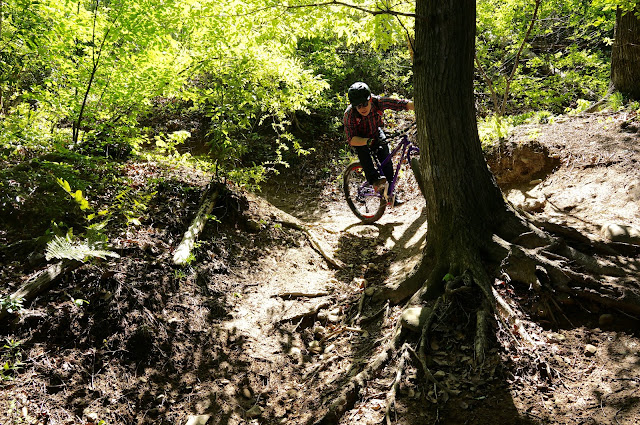 SURLY Karate Monkey 27.5