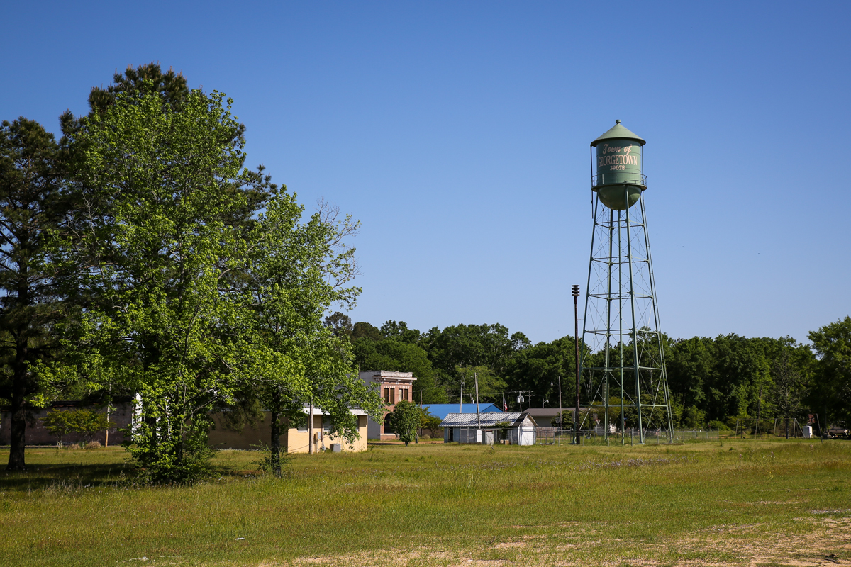 Elephant in Tiger Skin The back roads of Mississippi