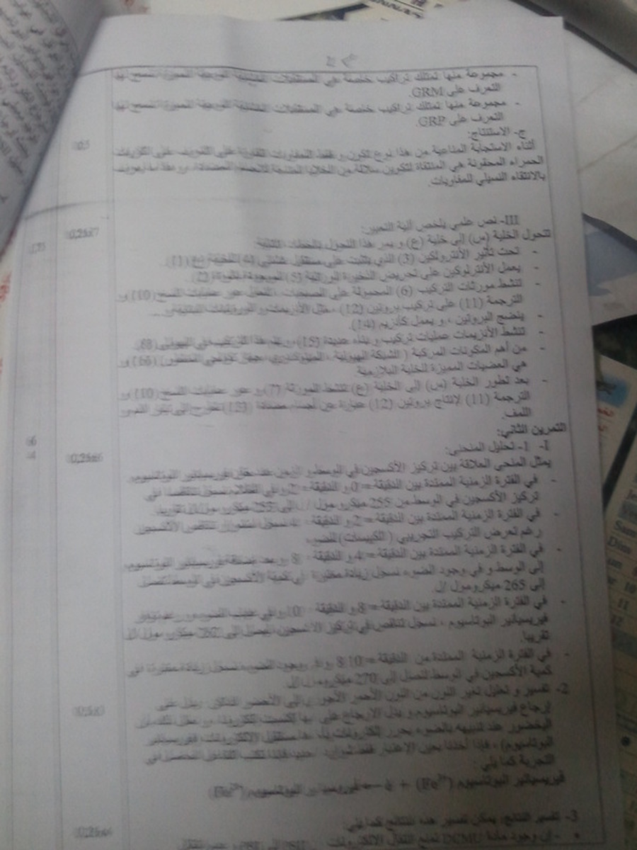 العلوم الطبيعية العلوم