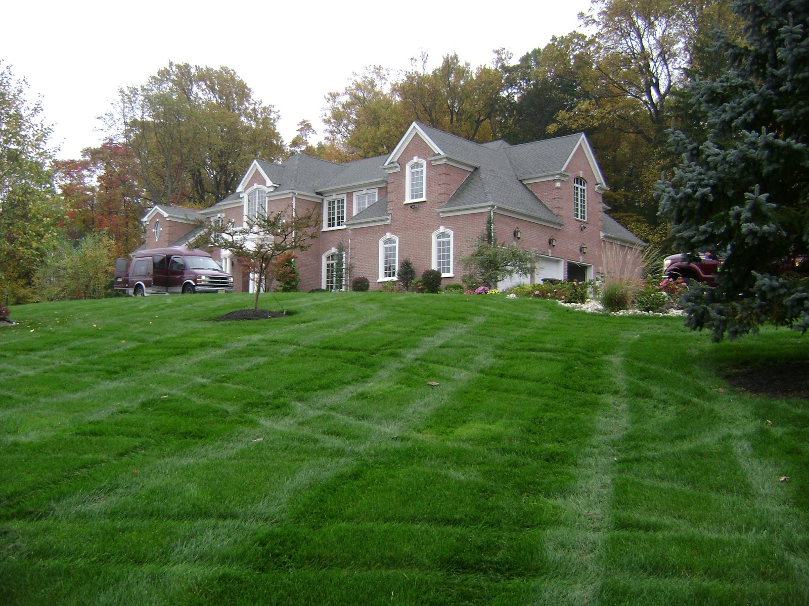 The NJ Lawnman Spring Lawn Raking