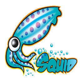 squid squidman proxy