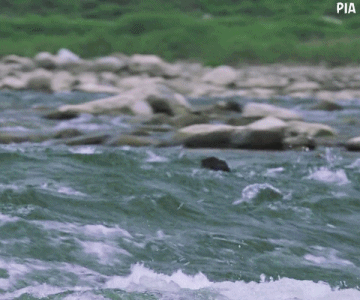 이준기에게 개고생상을 안겨준 숨겨진 명드.jpgif | 인스티즈