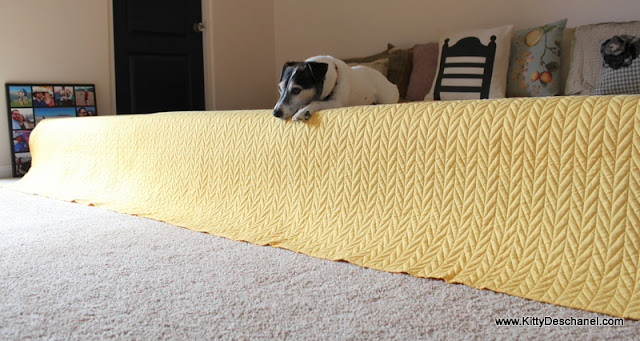 pros and cons of amerisleep