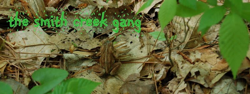 The Smith Creek Gang