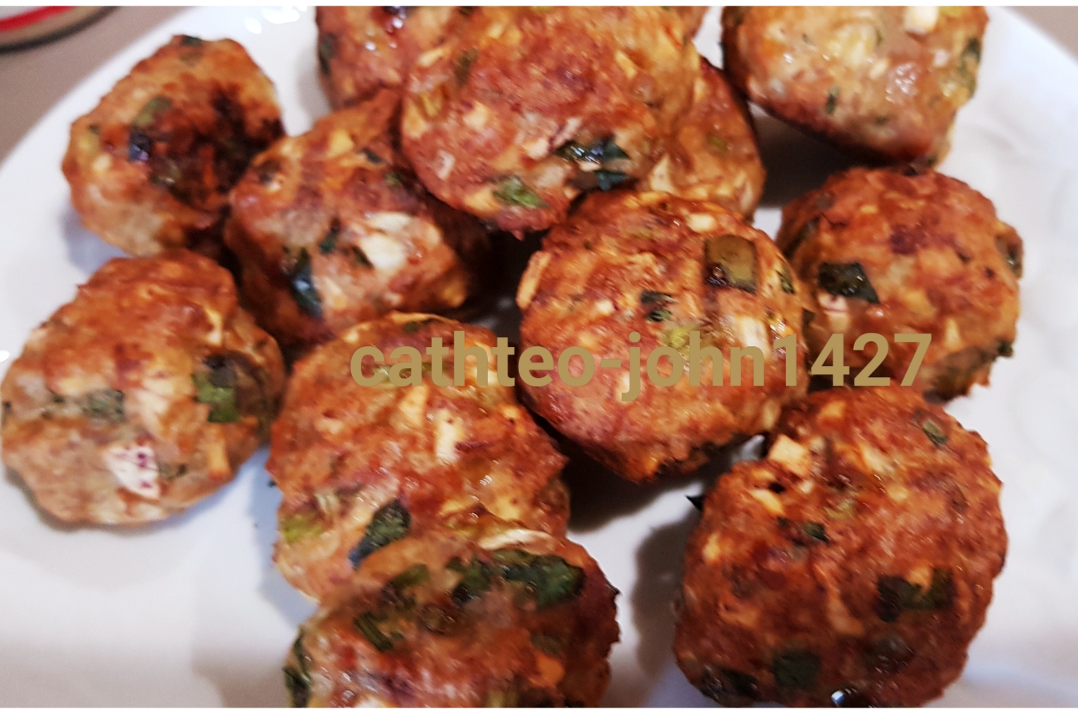 Catherine's Cooking cathteops Toaster Oven Meatball