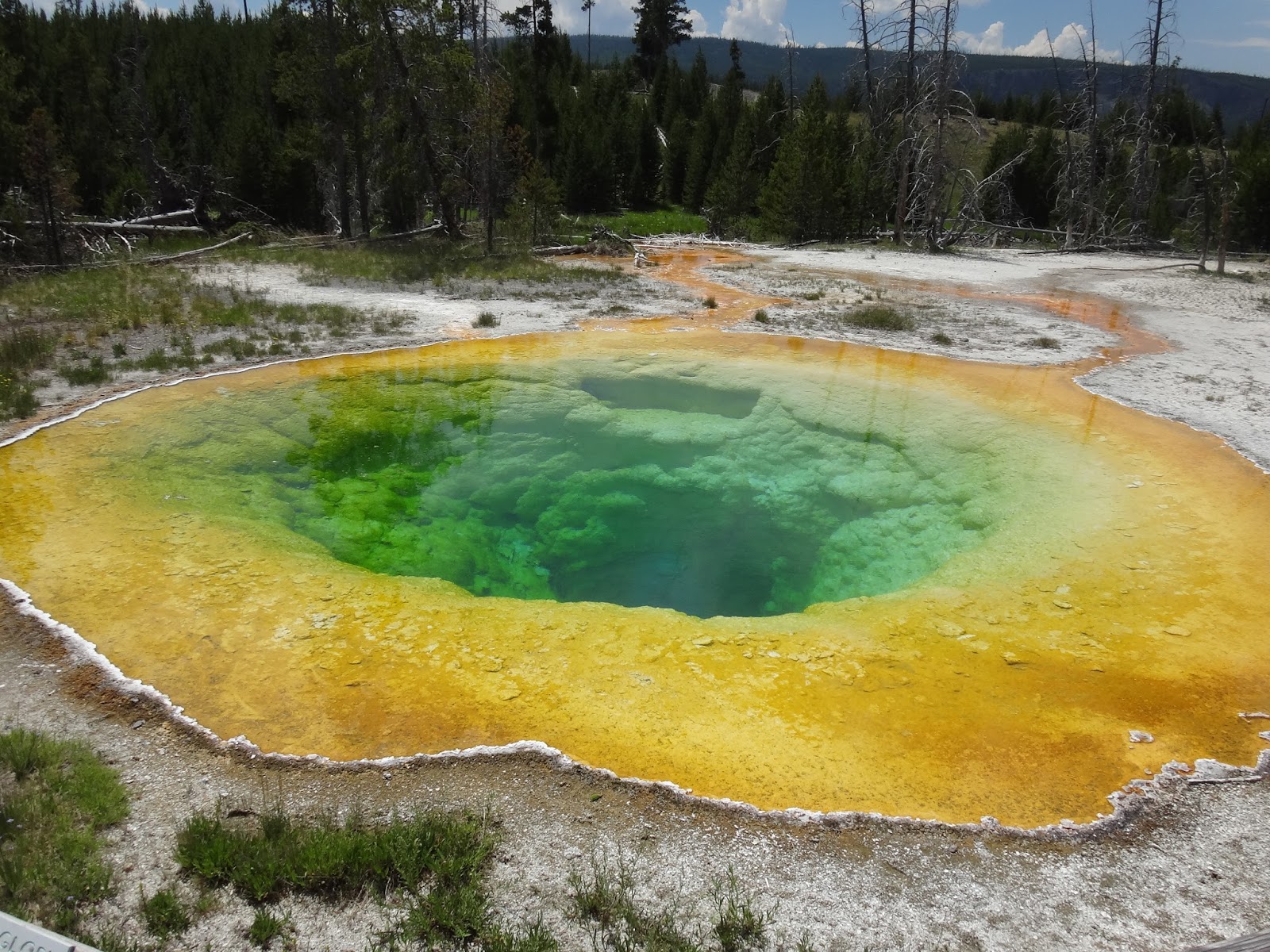 Iace雑記帳 イエローストーン国立公園に行ってきました