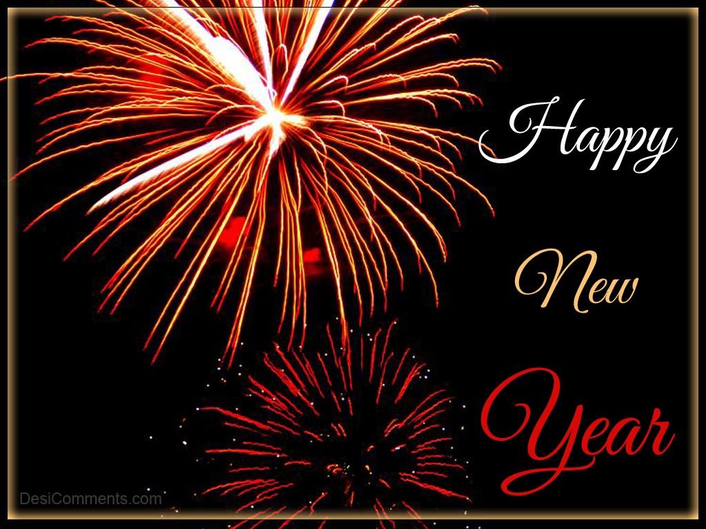 Birds And Animals Cool High Definition Wallpapers OfHappy New Year 2013