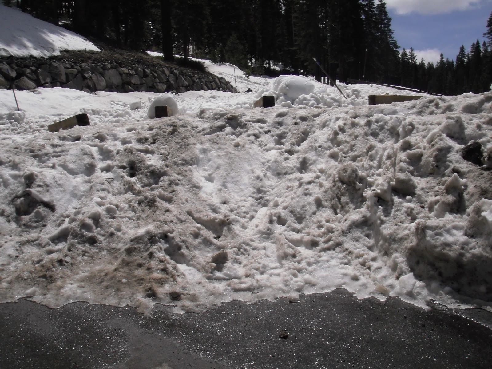 Sawmill Lake Fly Fishing 2015