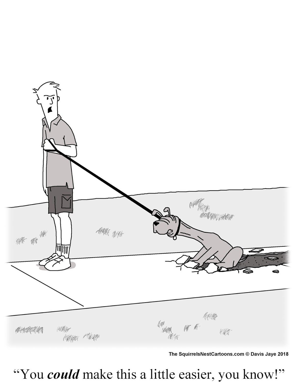 The Squirrel's Nest 444