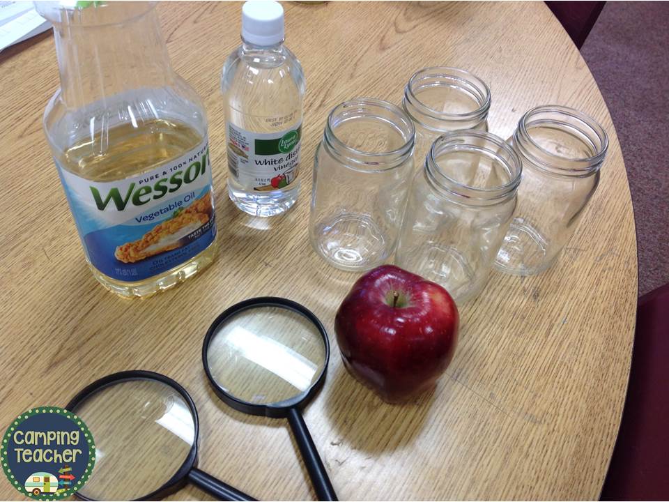 CampingTeacher Apples Experiment