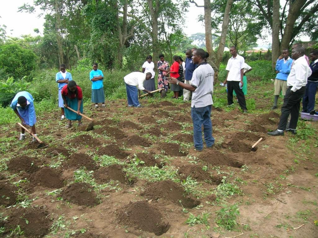 January 2014 OUR VOICE IN AGRICULTURE