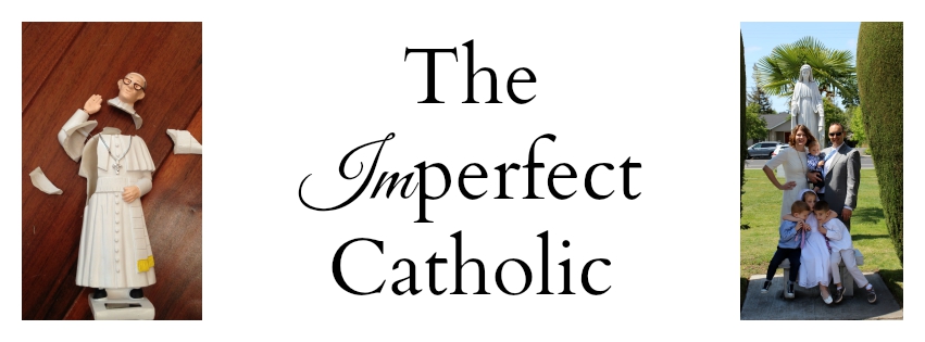 The Imperfect Catholic