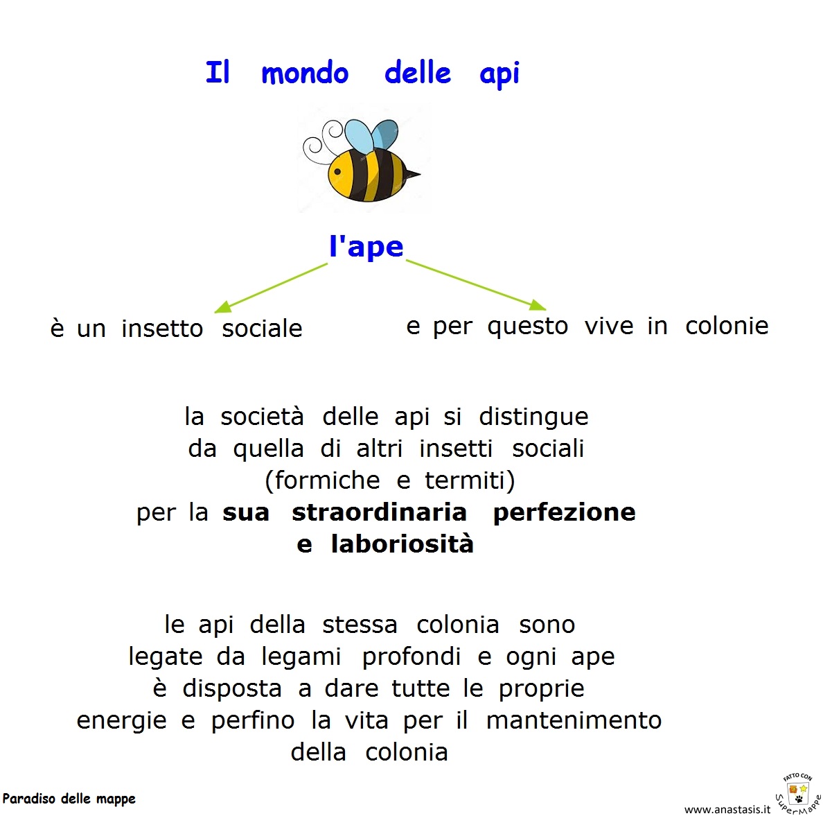 Paradiso delle mappe Il mondo delle api