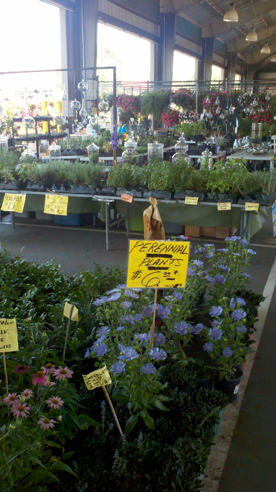The Lost Compass Daytrippin NC State Farmers Market