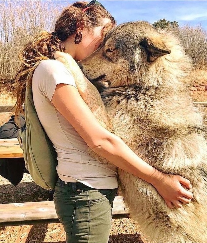 23 Touching Pictures Show That Dogs Are Too Good For Our World