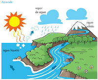 http://www.primerodecarlos.com/SEGUNDO_PRIMARIA/enero/tema2/actividades/cono/aprende_ciclo_agua/visor.swf