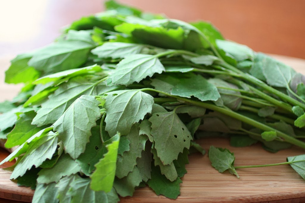Image result for Variety of Saag